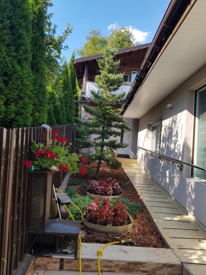 Apartament Casa Negoiu Târgu-Mureş Zewnętrze zdjęcie